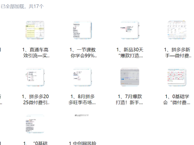 拼多多2025爆单闭环实操课：微付费起店+活动引爆+防比价，新店7天拉爆自然流