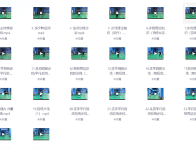 省下几千块！李宇轩羽毛球全套系统教学（含步伐/发接发/杀球）业界公认最强